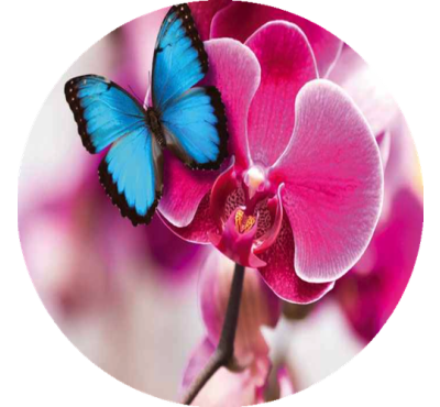 Náplň do osvěžovače POD, SOLO, DUAL F6 - Paradise Nectar