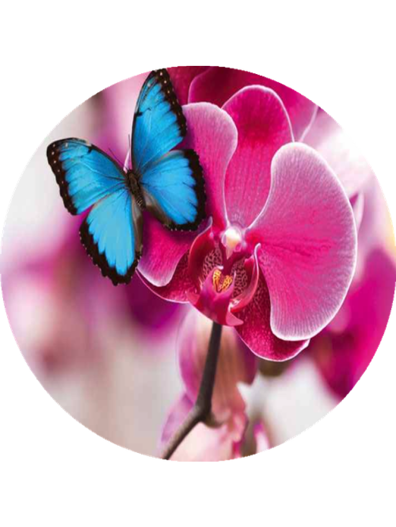 Náplň do osvěžovače POD, SOLO, DUAL F6 - Paradise Nectar