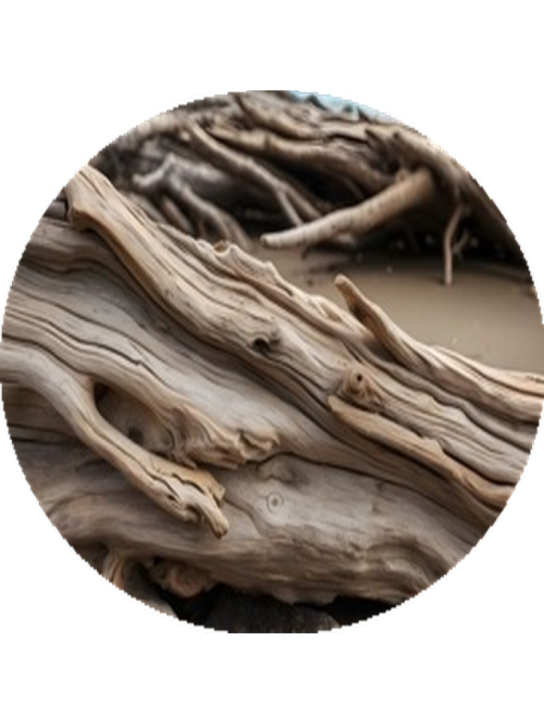Náplň do osvěžovače POD, SOLO, DUAL F6 - Salted driftwood