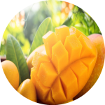 Náplň do osvěžovače POD, SOLO, DUAL F6 - Sladké mango
