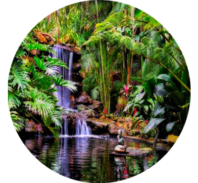 Náplň do osvěžovače POD, SOLO, DUAL F6 - Tropical garden