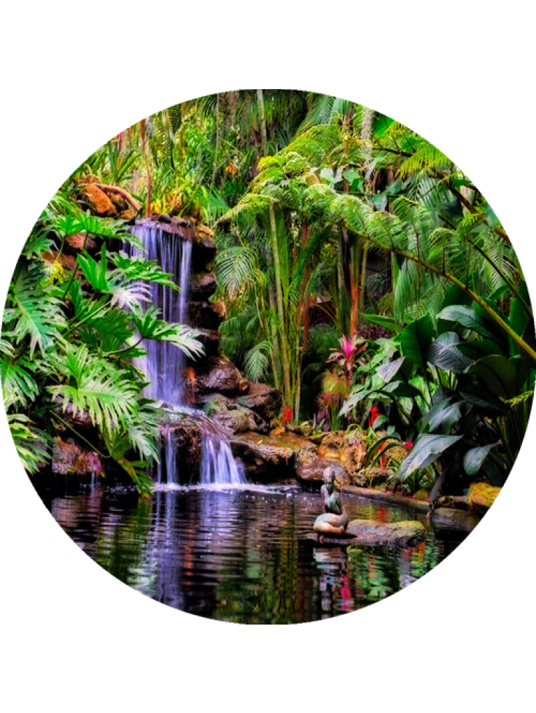 Náplň do osvěžovače POD, SOLO, DUAL F6 - Tropical garden