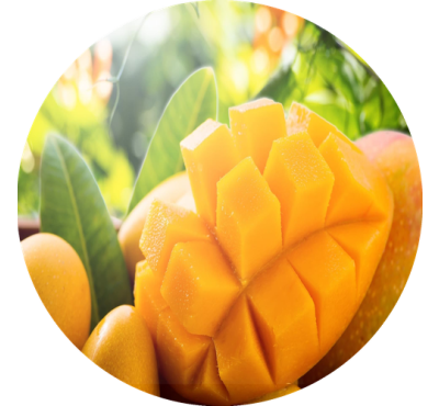Náplň do osvěžovače HYscent F5 - Sladké mango